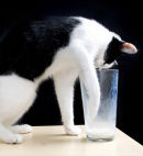 mmm milk