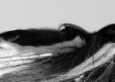 'EYE OF THE WAVE'