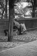 Bench Life, New York City