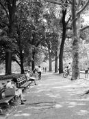 Chillin' in Central Park