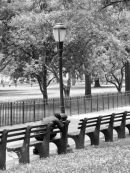 Bench Life, New York City