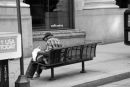 Bench Life, New York City