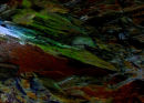 Eye of the Sea