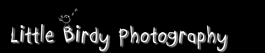 Little Birdy Photography