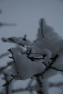 Melting snow