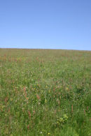 East Sussex countryside