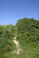 East Sussex countryside