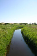East Sussex countryside