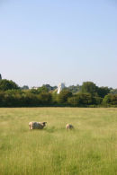East Sussex countryside