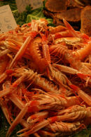 Langoustines