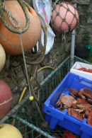 Buoys, crabs and lobsters