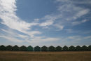 Beach huts in Hove
