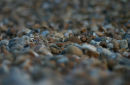 Pebbles on a beach