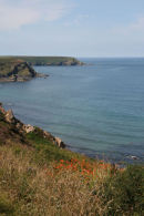 North Cornwall coast