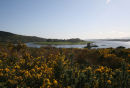 Castle Stalker, Scottish Highlands