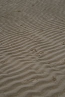 Sand patterns