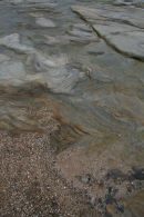 Coastal pattern