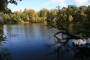 Buchan Park, West Sussex