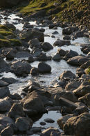 Stream in the Lake District