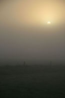 The sun tries to break through the fog