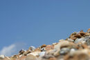 Pebbles