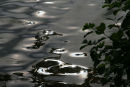 Reflection on water
