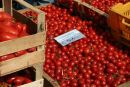 Tomatoes for sale