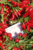 Chillies for sale