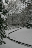 Snow, Goffs Park, West Sussex