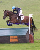 Fiona Hobby & ROYAL COLOURS