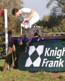 Harry Meade