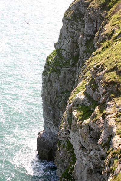Cliffs at Durlston near Swanage