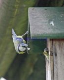 IMG 0023