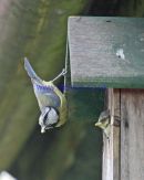 IMG 0026