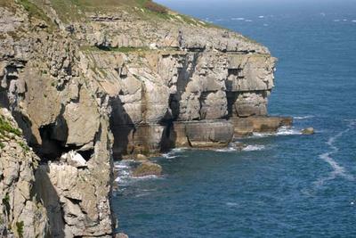 Cliffs at Durlston near Swanage