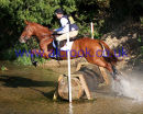 Mark Todd & BRUVVER