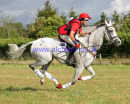 Paul Tapner & KILRONAN (c)