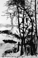 Winter trees
