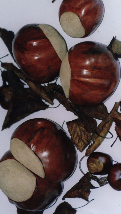 Burnished terracotta and Suede conkers
Size 6cm - 11cm 