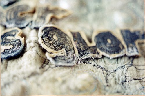 wake up, detail