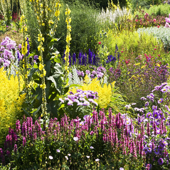 B_09 Summer Border