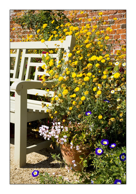 Lydiard Park Walled Garden 9 