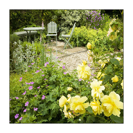 C The Wildlife Friendly Garden