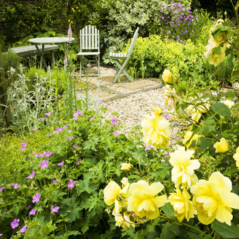 WG_06 The Wildlife Friendly Garden