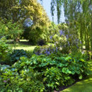 WG_12 The Priory Garden NEW!