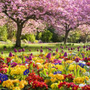WG_13 Springtime in the Park NEW!