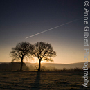 Shropshire Dawn