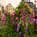 Back-to-Back Garden