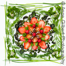 Fresh Fruit Salad