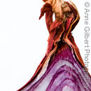 Onion Top